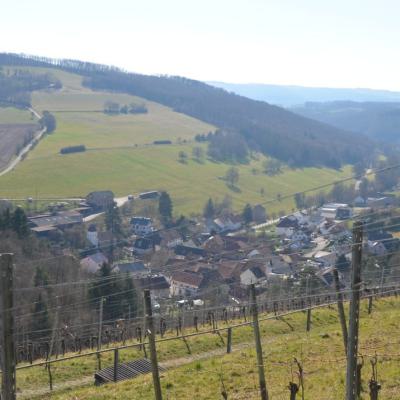 Auen und Umgebung 10