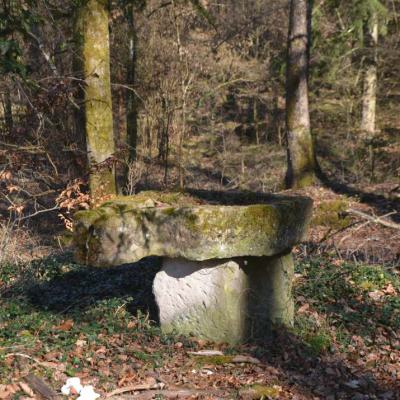 Auen Und Umgebung 15